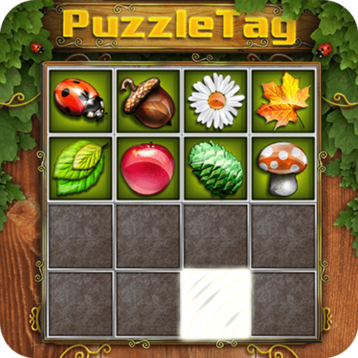 Puzzle Tag